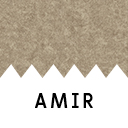 AMIR